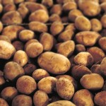 Billy Butler Potatoes